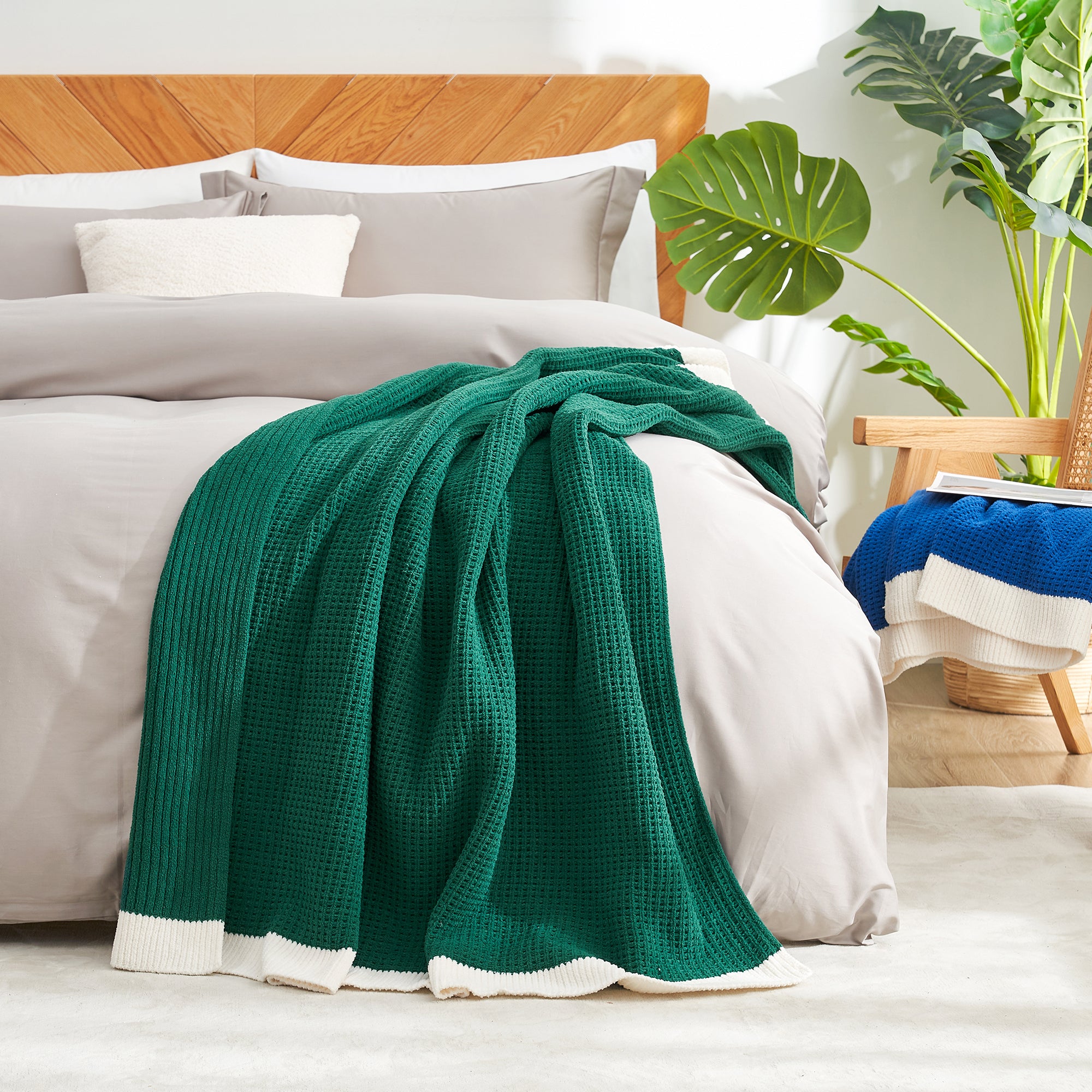 Green blanket on a bed with pillows and a plant in the background #color_Green