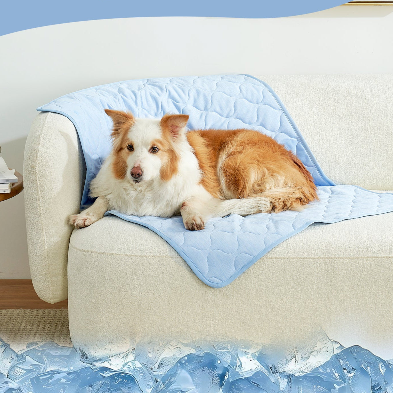 Leakproof Cooling Blanket for Pets