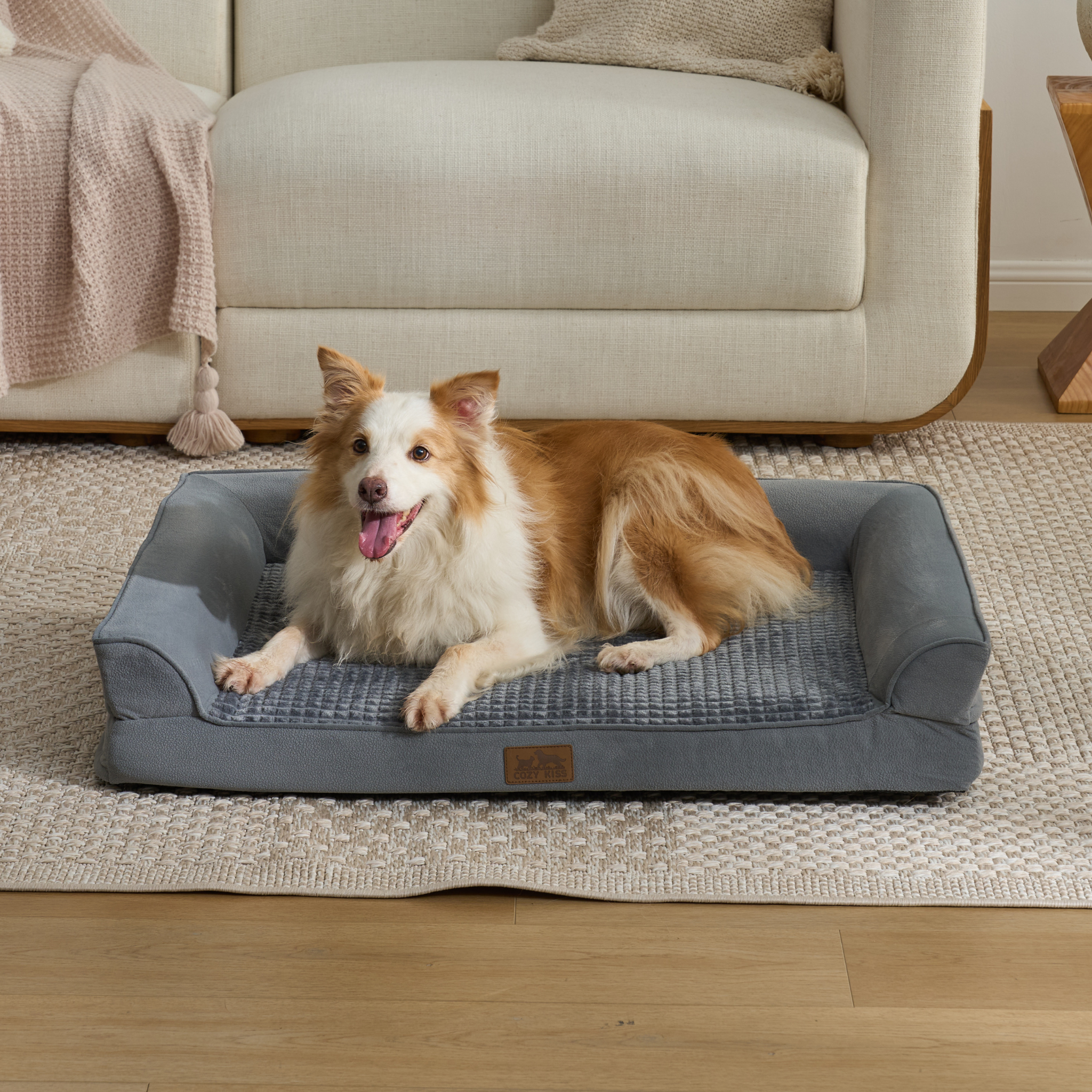 Cozy bliss pet bed front view. Dog lying on a gray pet bed in a living room. #Color_Grey 