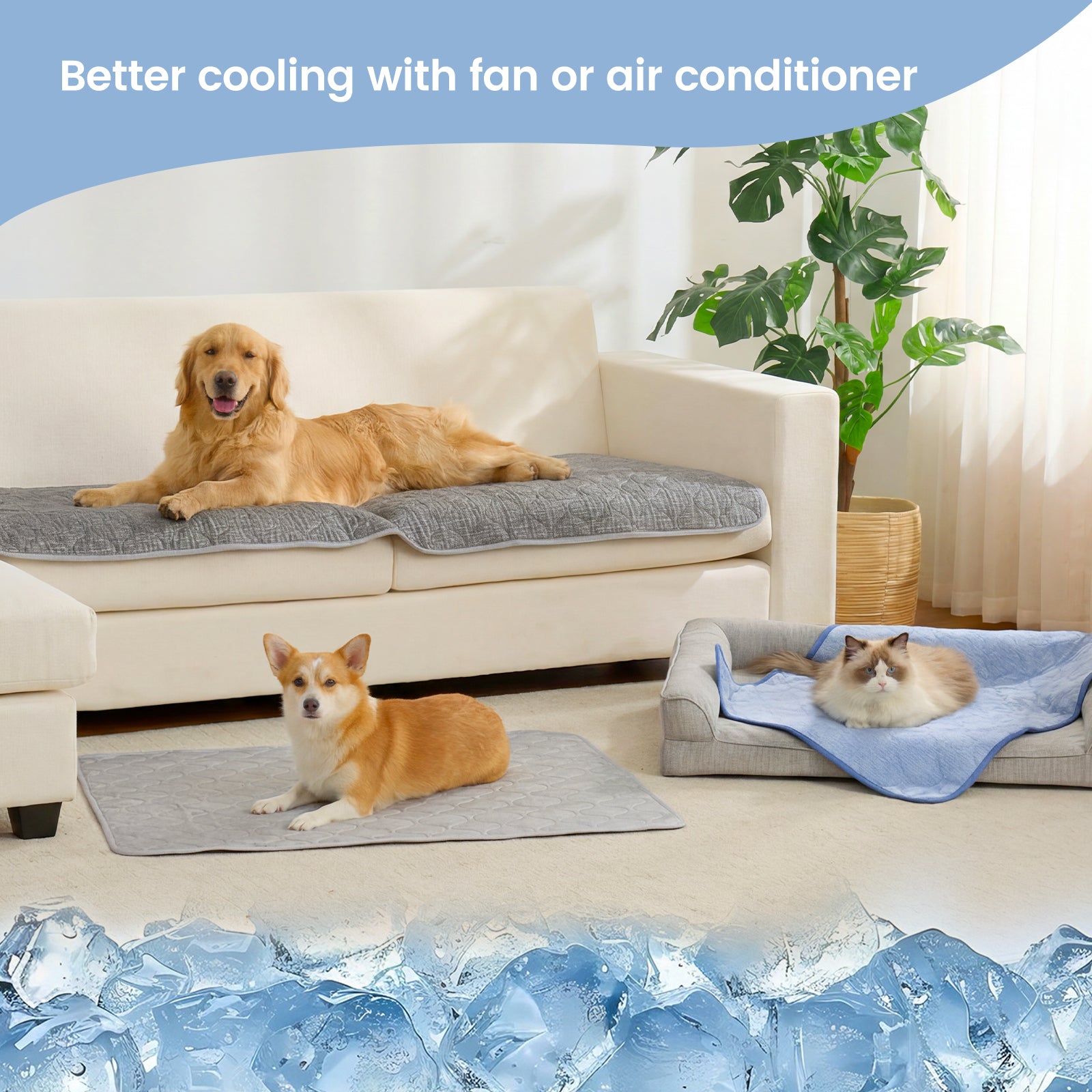 Two dogs and a cat on cooling pads.