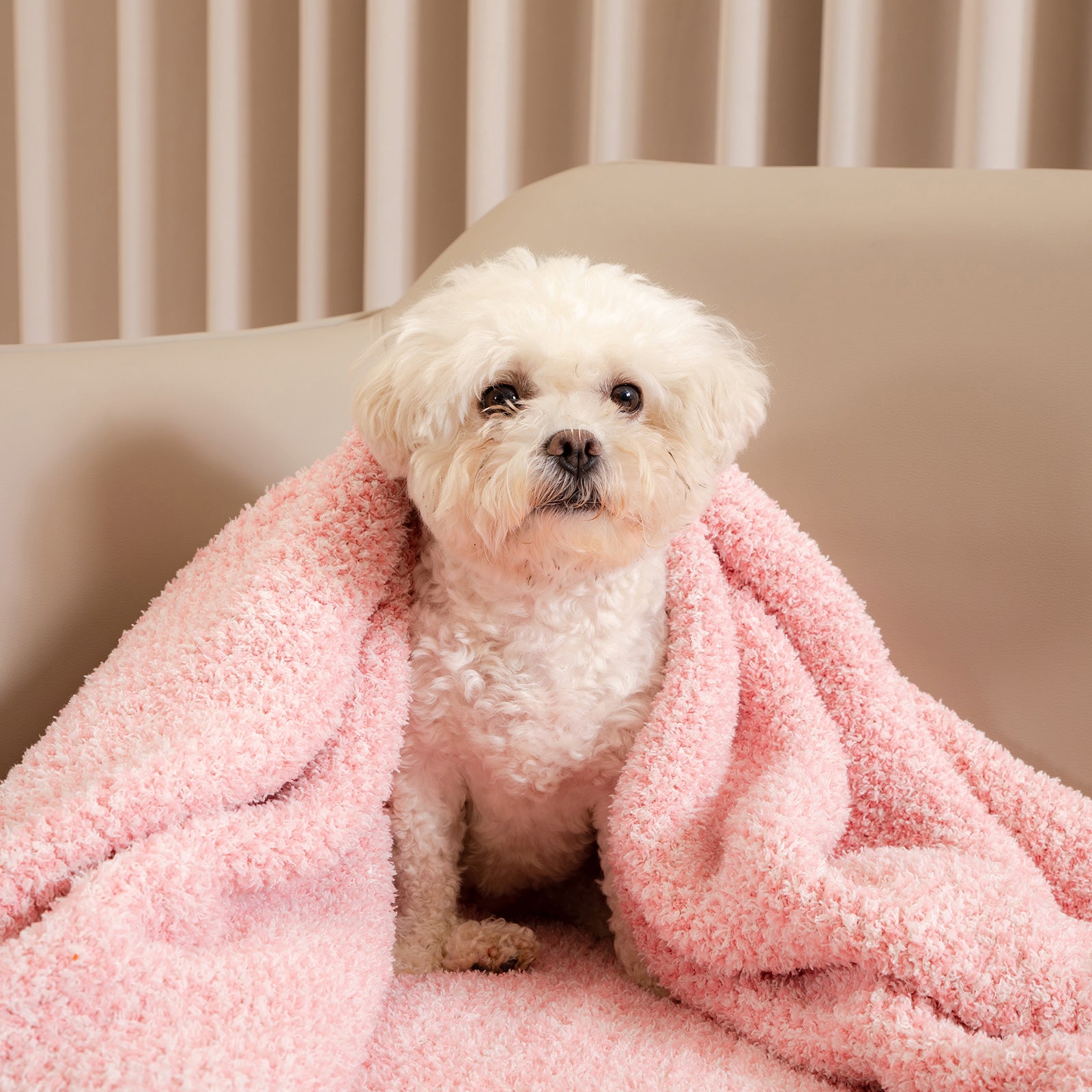 Cozy Bliss x SS Heather Feather Yarn Throw Blanket