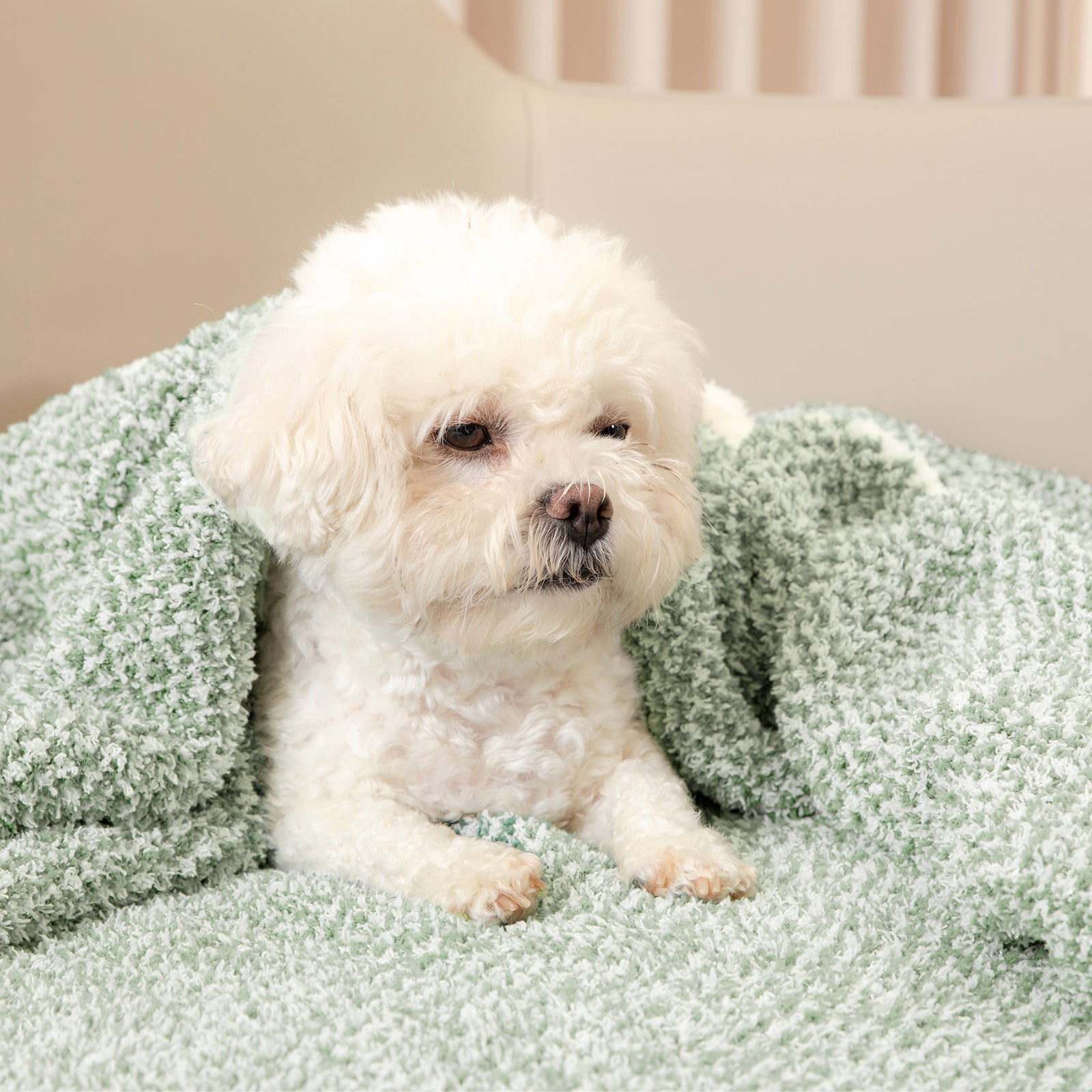 Cozy Bliss x SS Heather Feather Yarn Throw Blanket